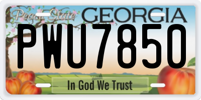 GA license plate PWU7850