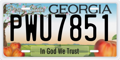 GA license plate PWU7851