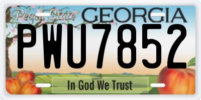 GA license plate PWU7852