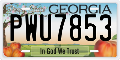 GA license plate PWU7853