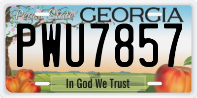 GA license plate PWU7857