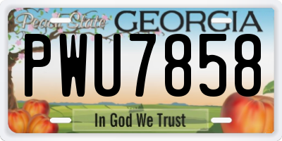 GA license plate PWU7858