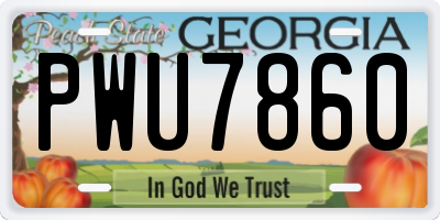GA license plate PWU7860