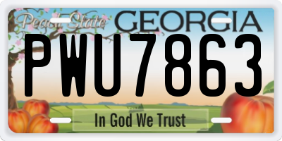 GA license plate PWU7863