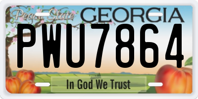 GA license plate PWU7864