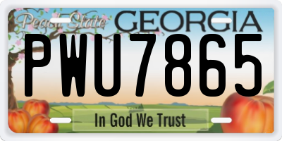 GA license plate PWU7865