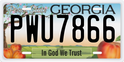 GA license plate PWU7866