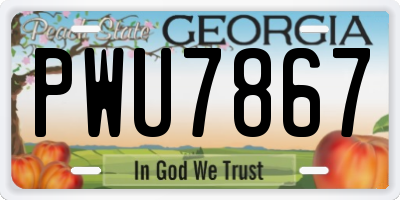 GA license plate PWU7867
