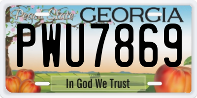 GA license plate PWU7869