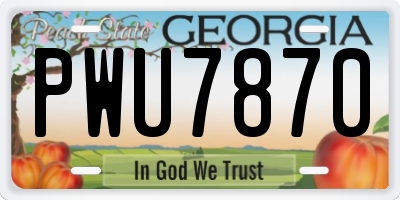 GA license plate PWU7870