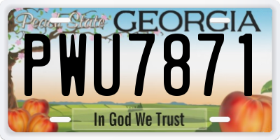GA license plate PWU7871