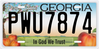 GA license plate PWU7874