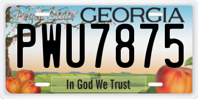 GA license plate PWU7875