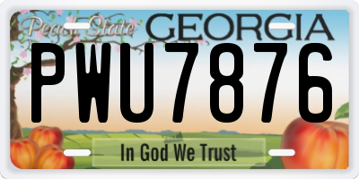 GA license plate PWU7876