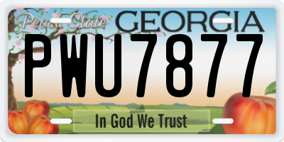 GA license plate PWU7877