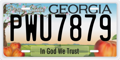 GA license plate PWU7879
