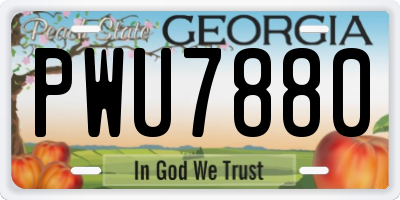 GA license plate PWU7880