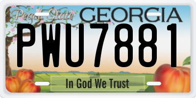 GA license plate PWU7881