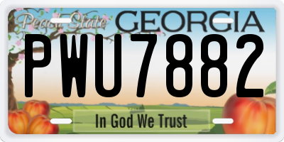 GA license plate PWU7882