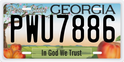 GA license plate PWU7886