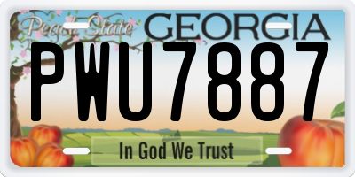 GA license plate PWU7887