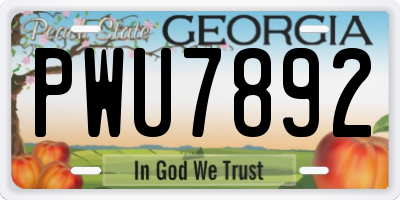 GA license plate PWU7892