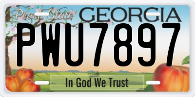 GA license plate PWU7897
