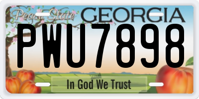 GA license plate PWU7898