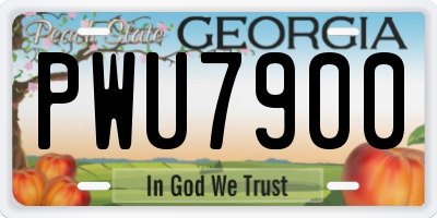 GA license plate PWU7900