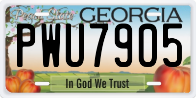 GA license plate PWU7905