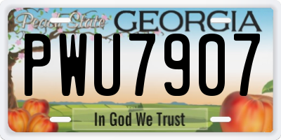 GA license plate PWU7907