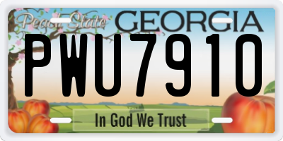 GA license plate PWU7910