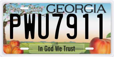 GA license plate PWU7911