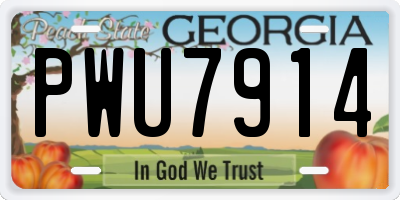 GA license plate PWU7914