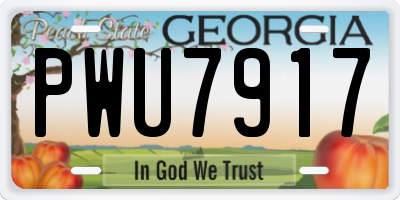 GA license plate PWU7917