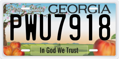 GA license plate PWU7918