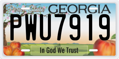 GA license plate PWU7919