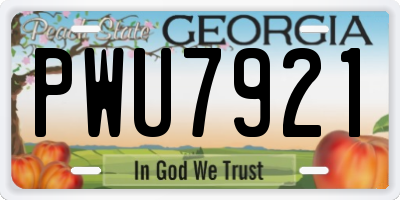 GA license plate PWU7921