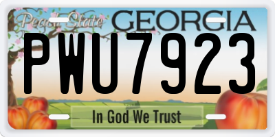 GA license plate PWU7923