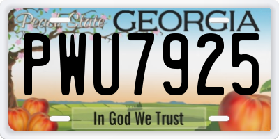 GA license plate PWU7925