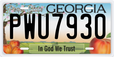GA license plate PWU7930