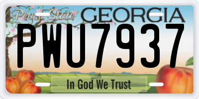 GA license plate PWU7937