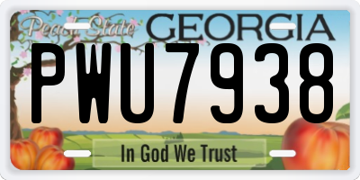 GA license plate PWU7938