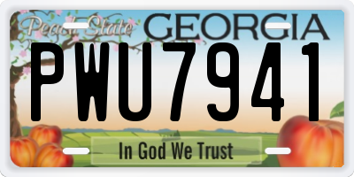 GA license plate PWU7941