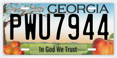GA license plate PWU7944