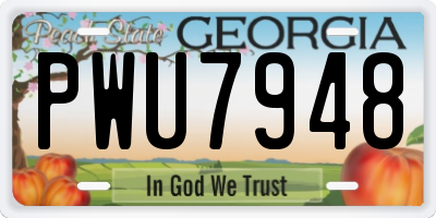 GA license plate PWU7948