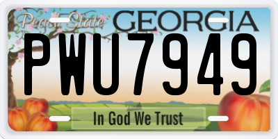 GA license plate PWU7949