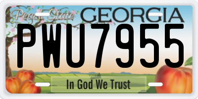 GA license plate PWU7955