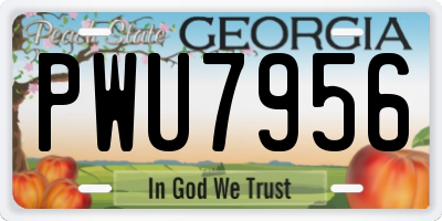 GA license plate PWU7956