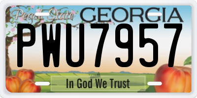GA license plate PWU7957
